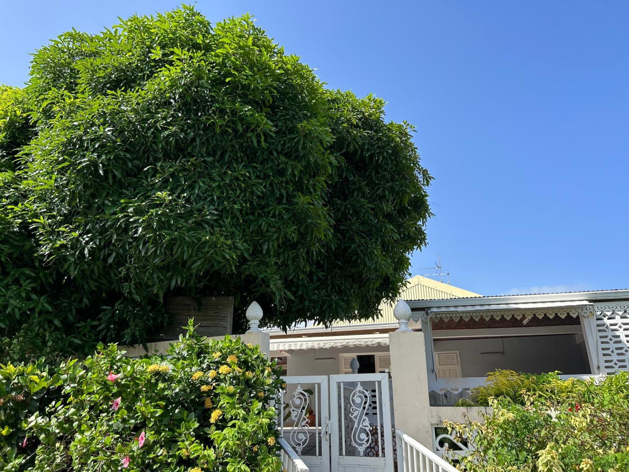Villa A Louer A Sainte-Anne En Martinique Екстер'єр фото